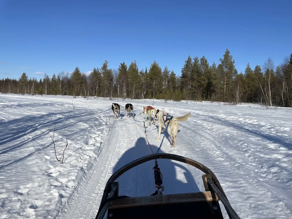 HHHusky - Lapland pet otel görseli 3