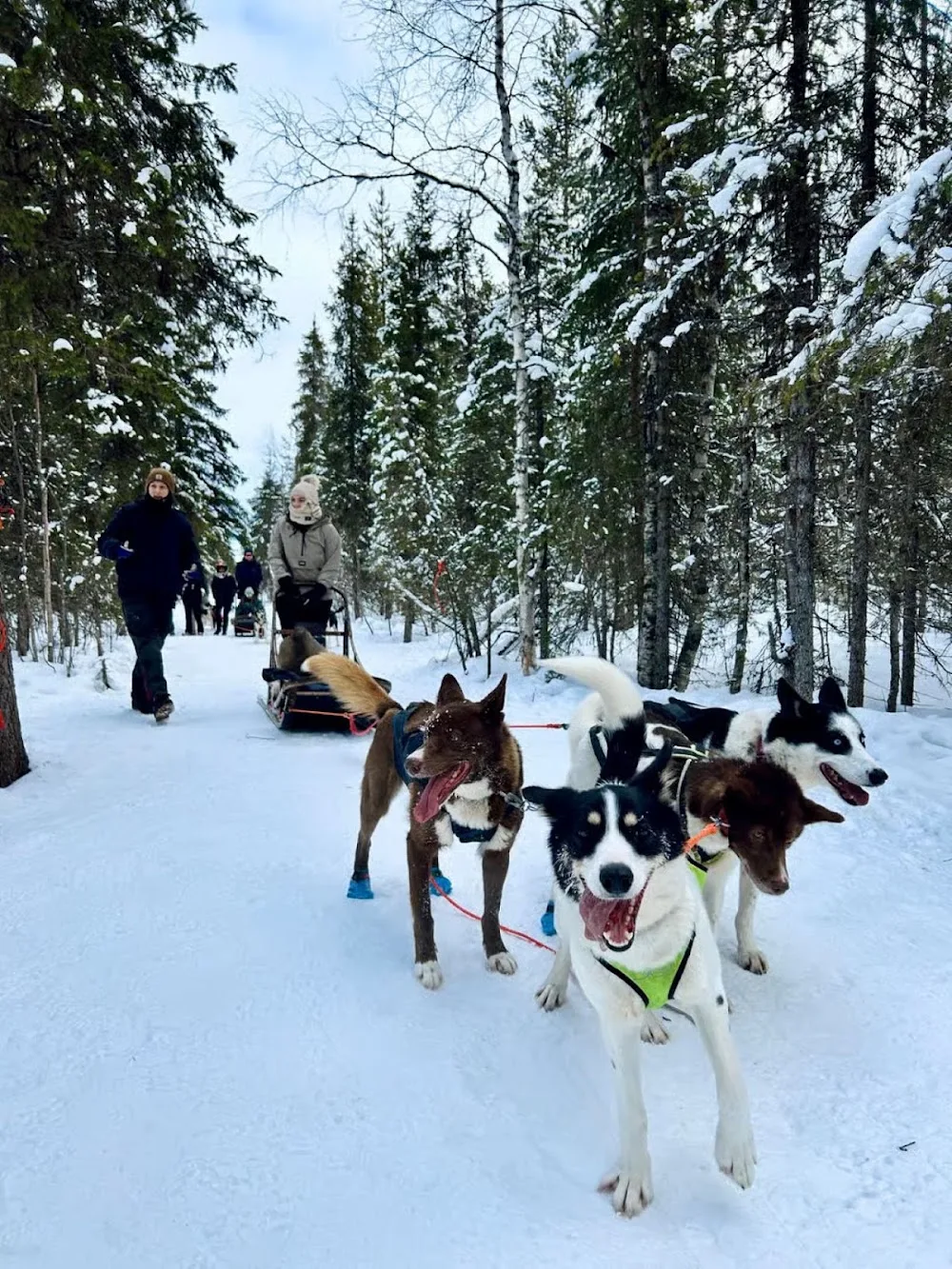 Husky Kennel - Lapland pet otel