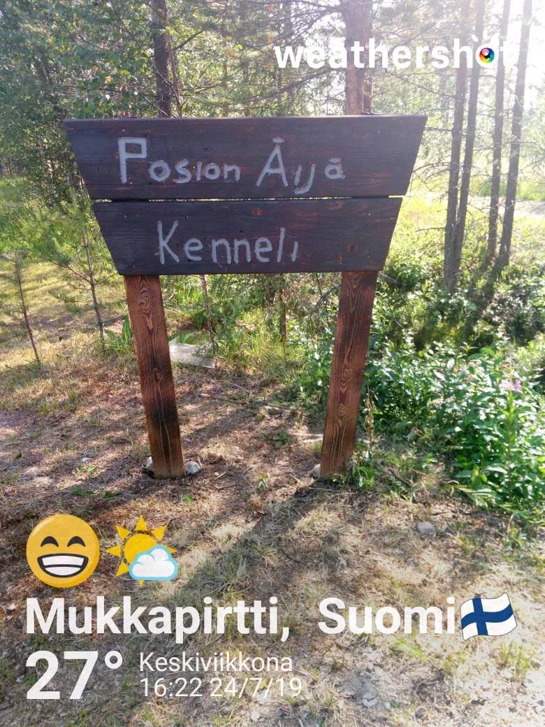 Posion Äijän Kennel - Lapland pet otel görseli 3