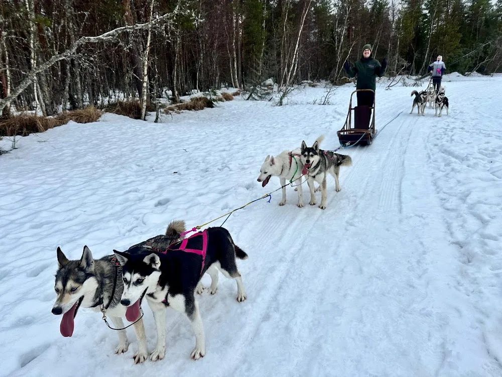 Tuulenpesä Huskyfarm & Home retreat - Lapland pet otel görseli 3