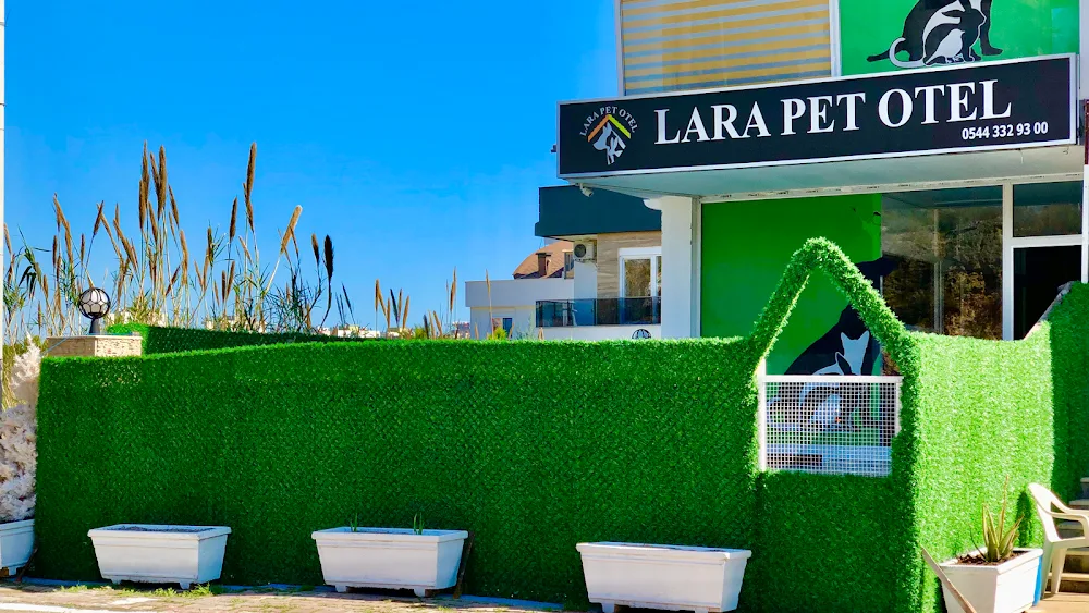 Lara Pet Otel - xPet Otel