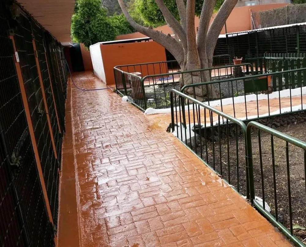 Canservan Canarias Residencia Canina - Cria - Adiestramiento - Las Palmas pet otel