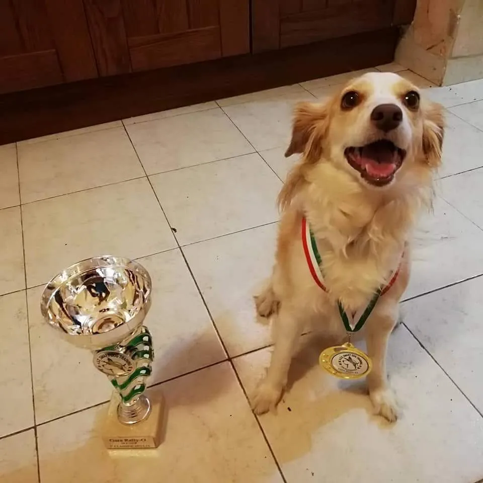 Pensione addestramento cani ITALY DOG - Latina pet otel