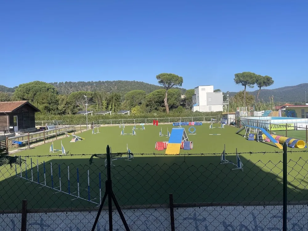 Dog Activity Park | Pensione diurna e per attività cani - Lazio pet otel