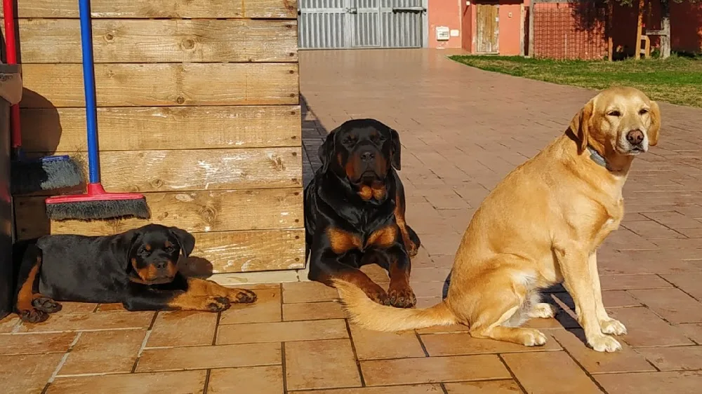 Emma & Kira Dog's House - Lazio pet otel