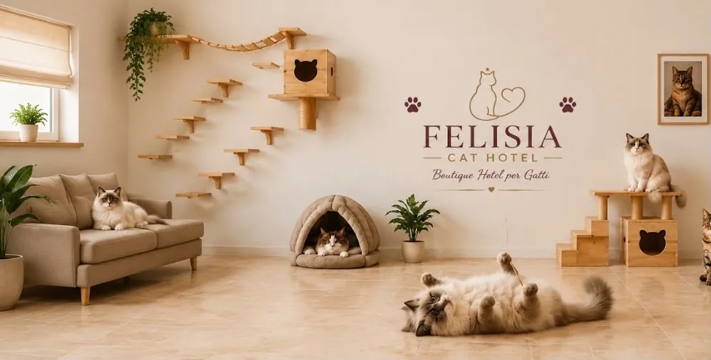 Felisia Cat Home Boarding - Lazio pet otel