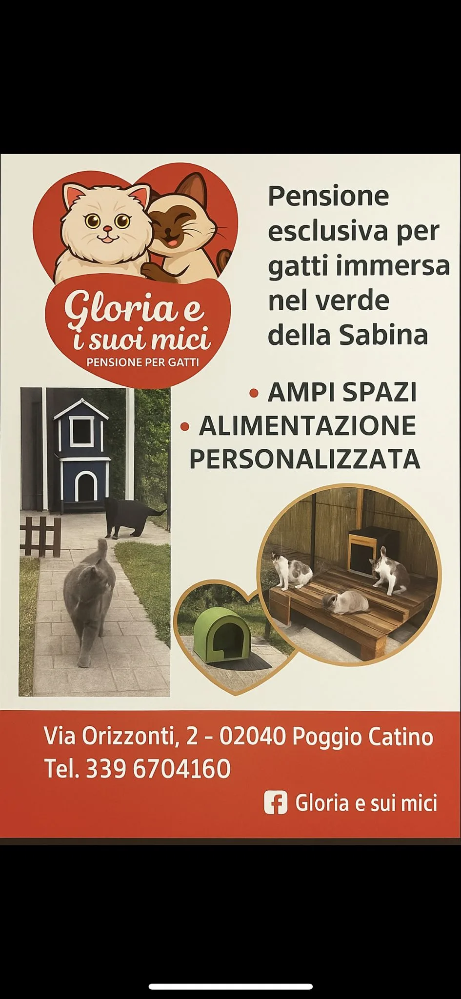 Gloria e i suoi Mici - Pensione per gatti Poggio Catino - Lazio pet otel