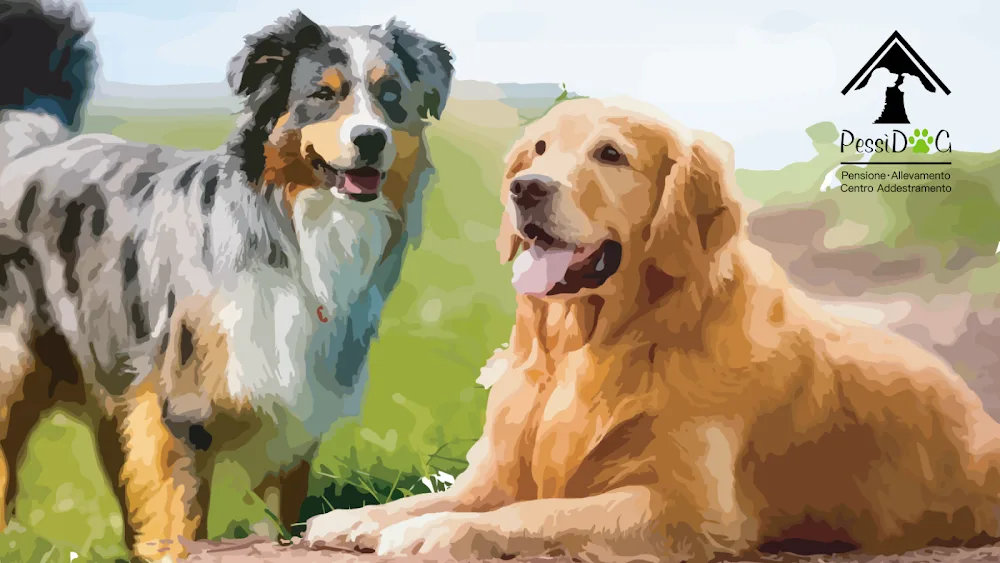 DogLoverPessi - Allevamento professionale Golden Retriever e Pensione Cani - Lecco pet otel