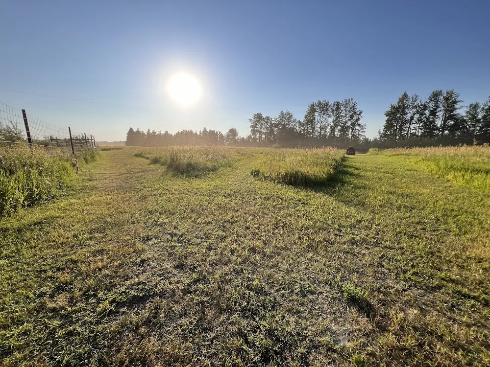 Awesome Pawsome Ranch Ltd - Leduc pet otel