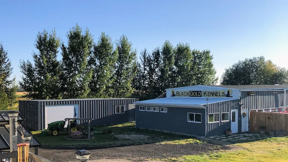 Black Gold Kennels - Leduc pet otel