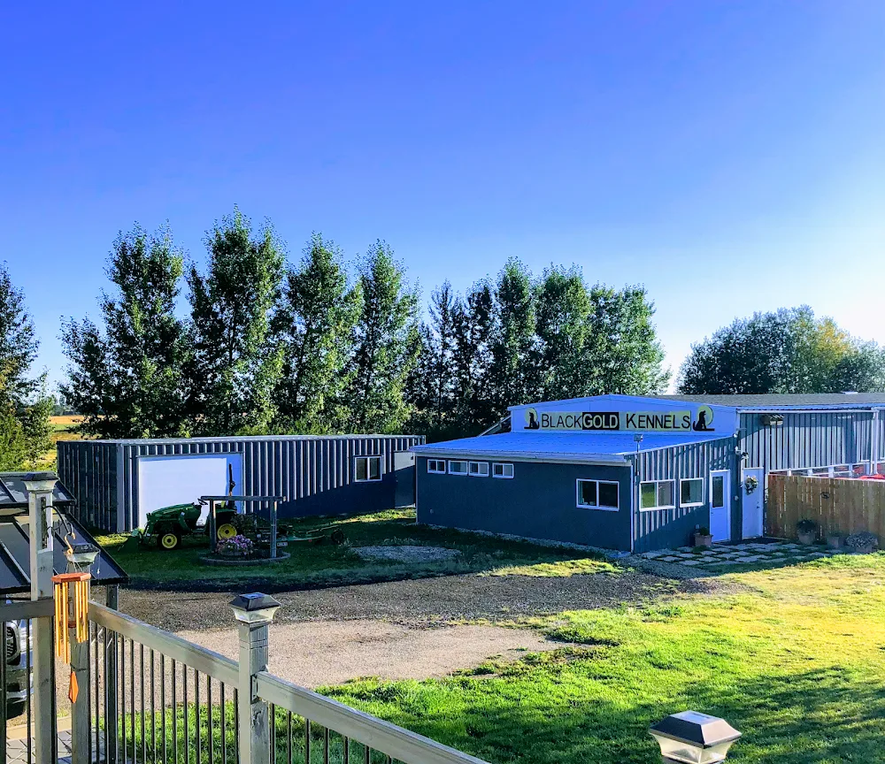 Black Gold Kennels - Leduc pet otel görseli 3