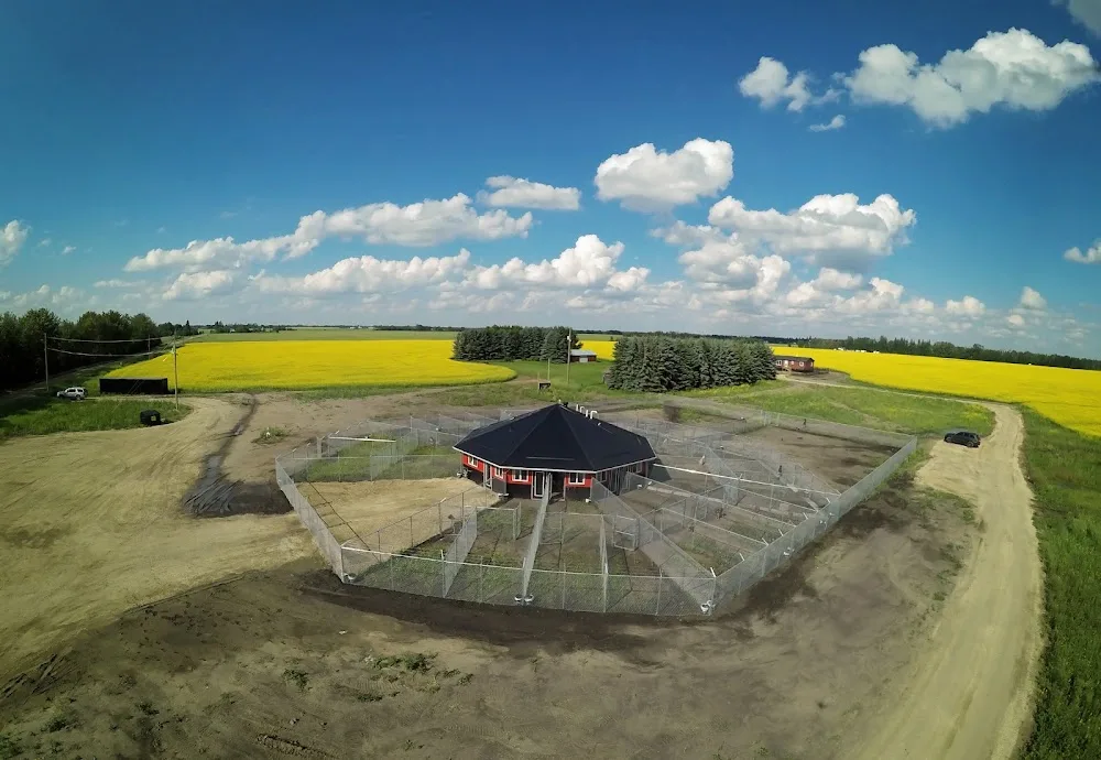 780 Kennels - Leduc County pet otel