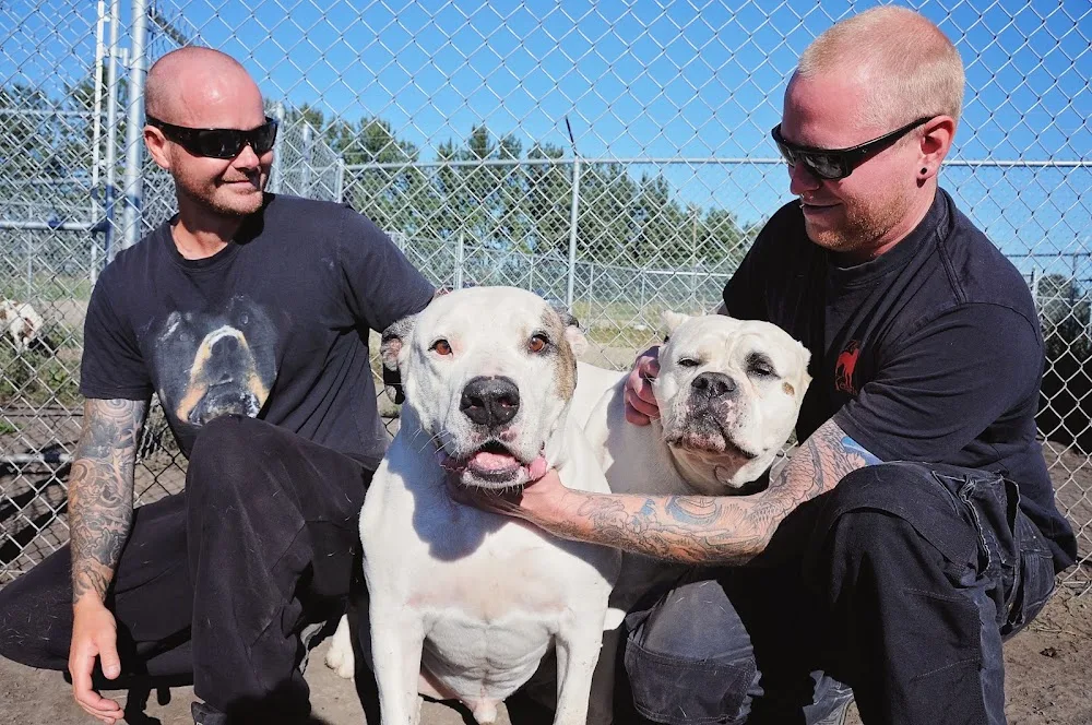 780 Kennels - Leduc County pet otel görseli 3