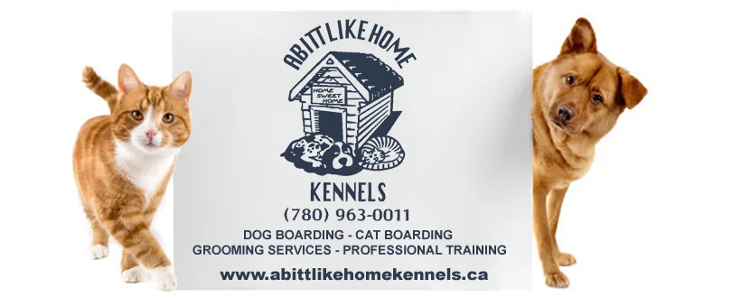 Abitt Like Home Kennels - Leduc County pet otel