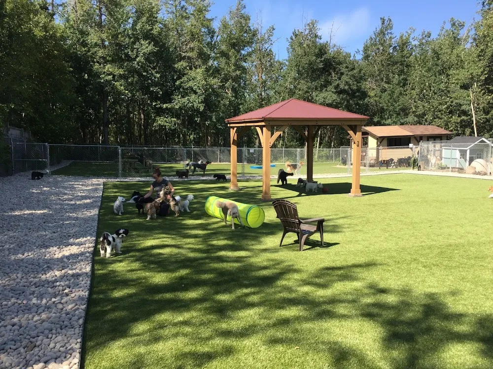 Barkers Pet Motel & Grooming - Leduc County pet otel
