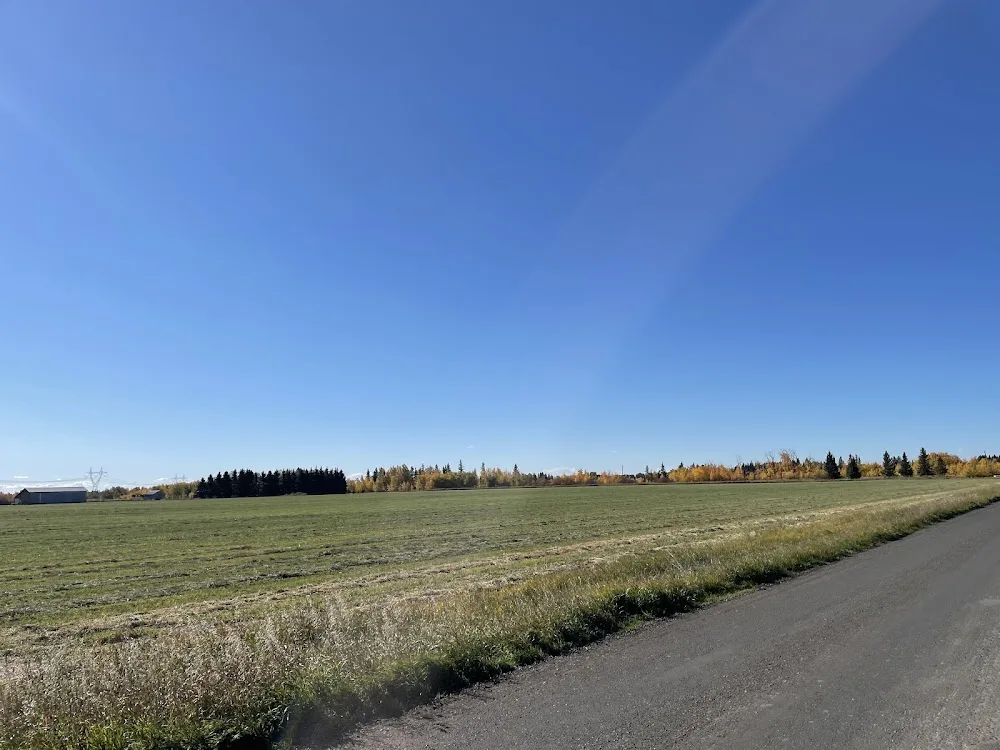 Creekside Pet Boarding & Daycare - Leduc County pet otel görseli 6