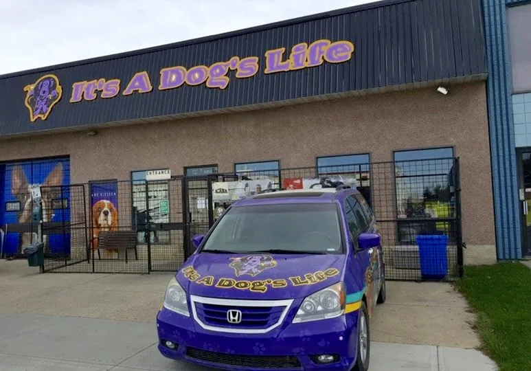 It's A Dogs Life Ltd. - Leduc County pet otel görseli 2