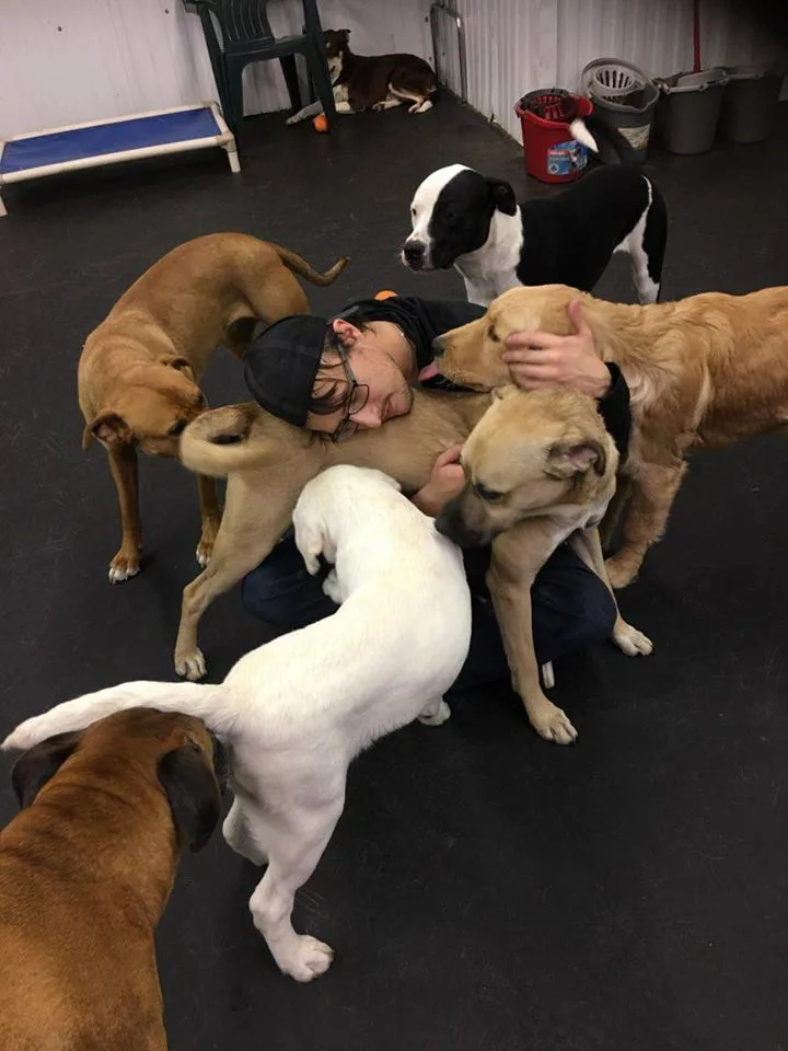 It's A Dogs Life Ltd. - Leduc County pet otel görseli 3