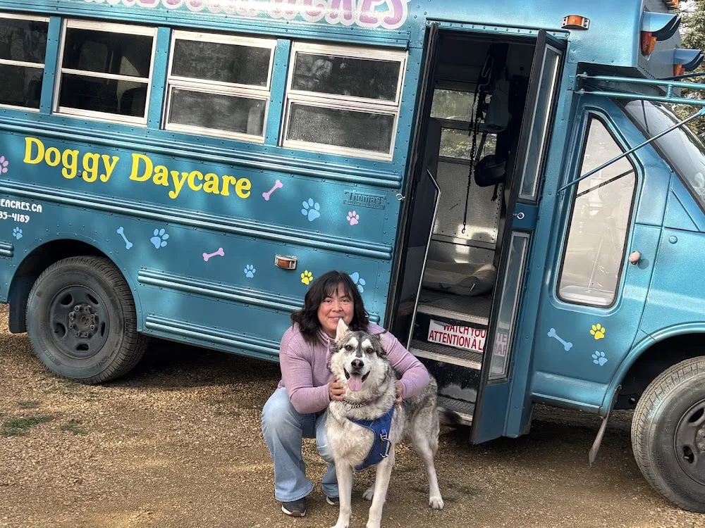 Pawesome Acres - Leduc County pet otel görseli 7