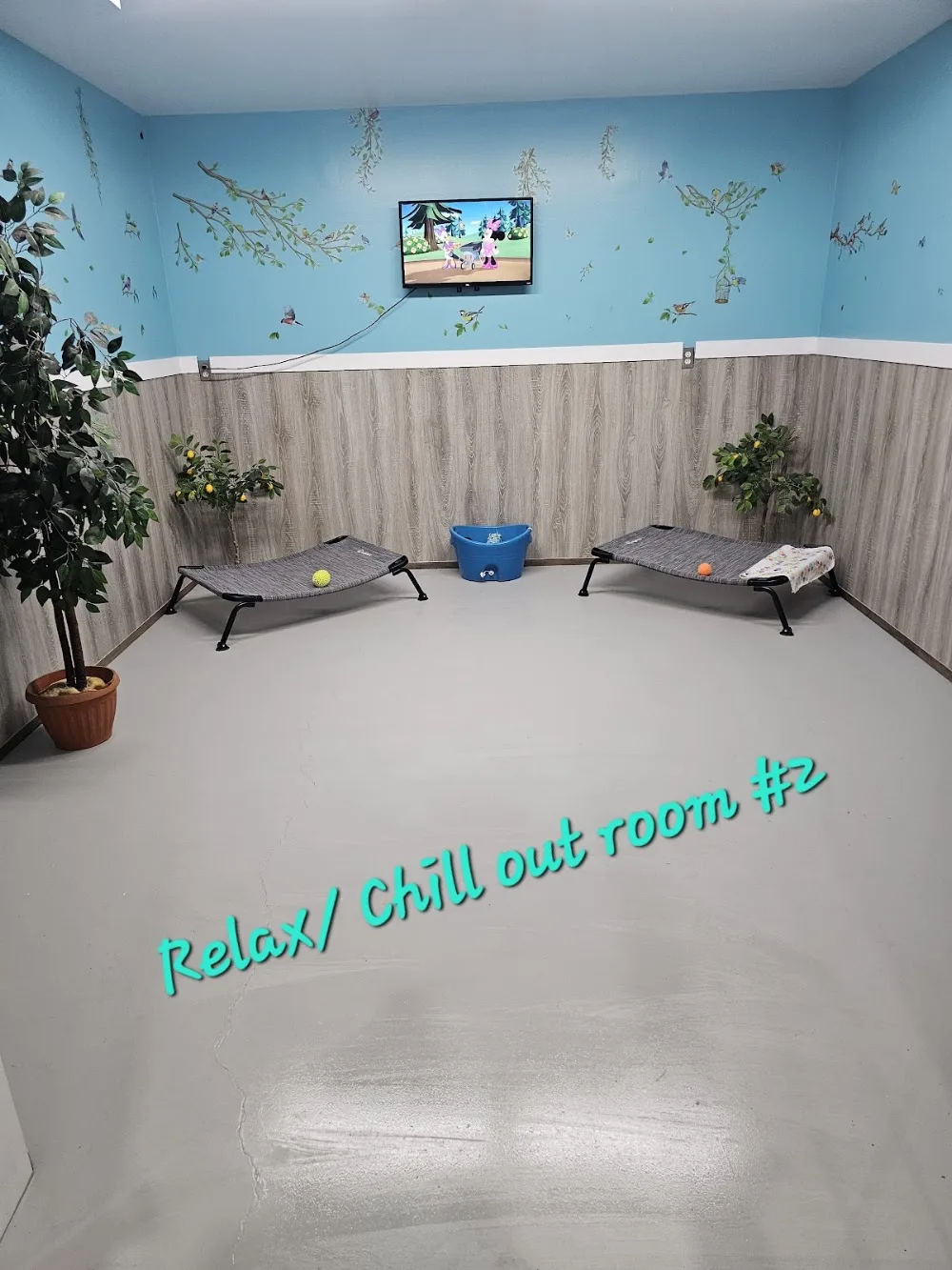 The Lady and the Tramp’s Paw Resort - Leduc County pet otel görseli 7