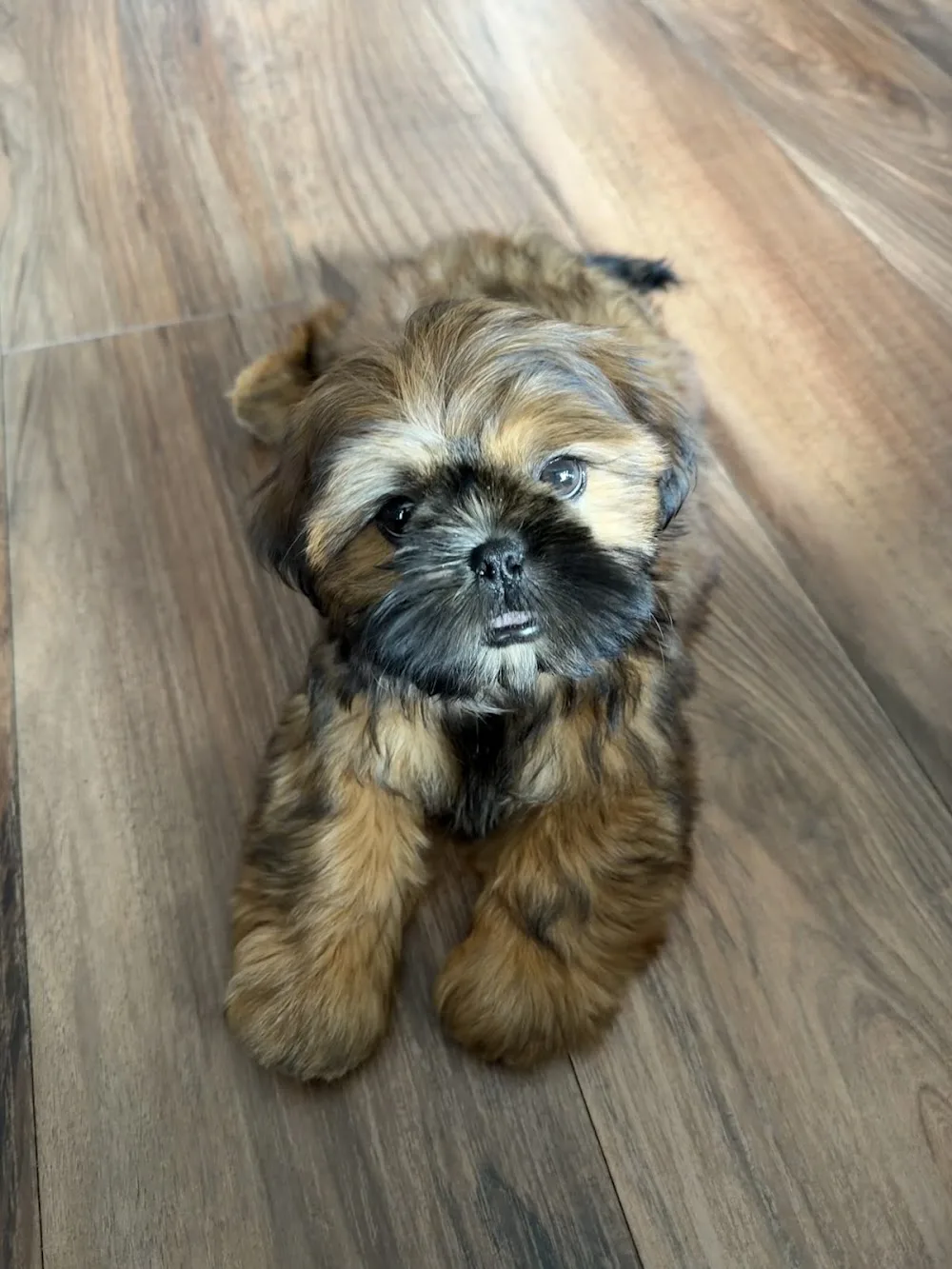 Tuscany Pets Hotel - Leduc County pet otel