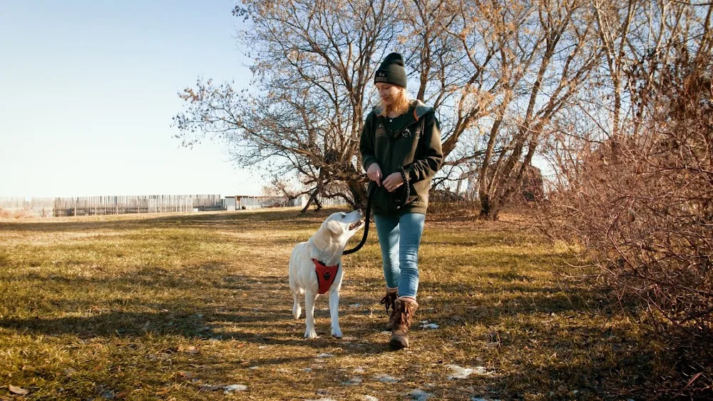 Glenpark Pet Hotel & Suites - Leduc pet otel