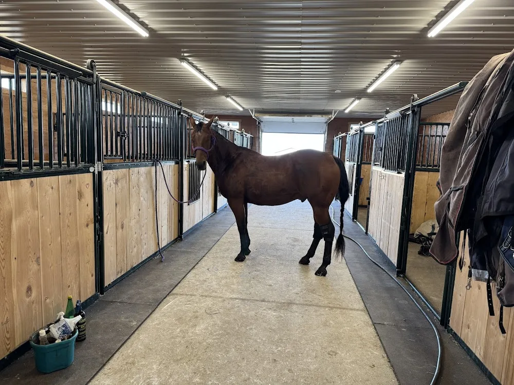 Leduc County Horse Boarding Co - Leduc pet otel görseli 3