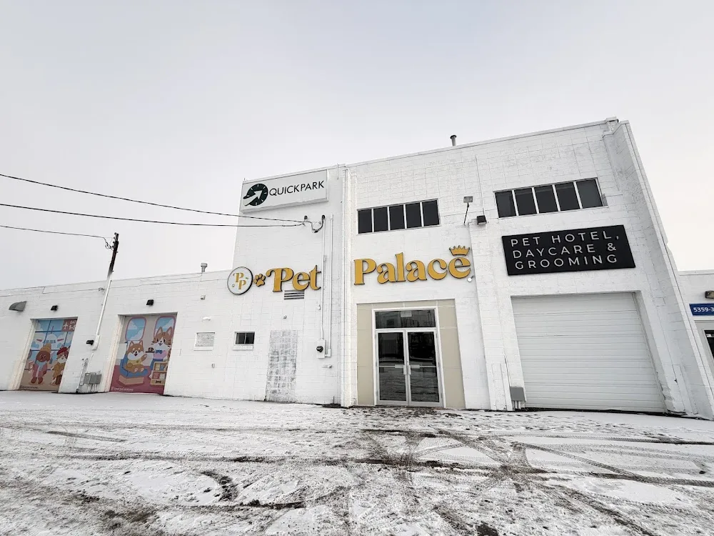 Pet Palace YEG - Pet Grooming, Pet Hotel & Pet Daycare - Leduc pet otel