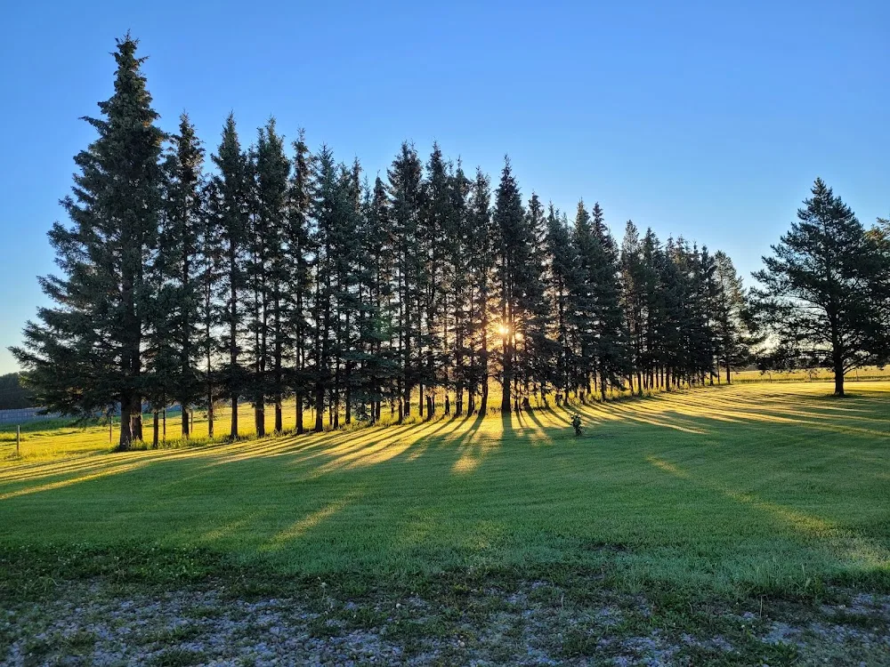 Spirit Meadow Dog Care - Leduc pet otel görseli 2