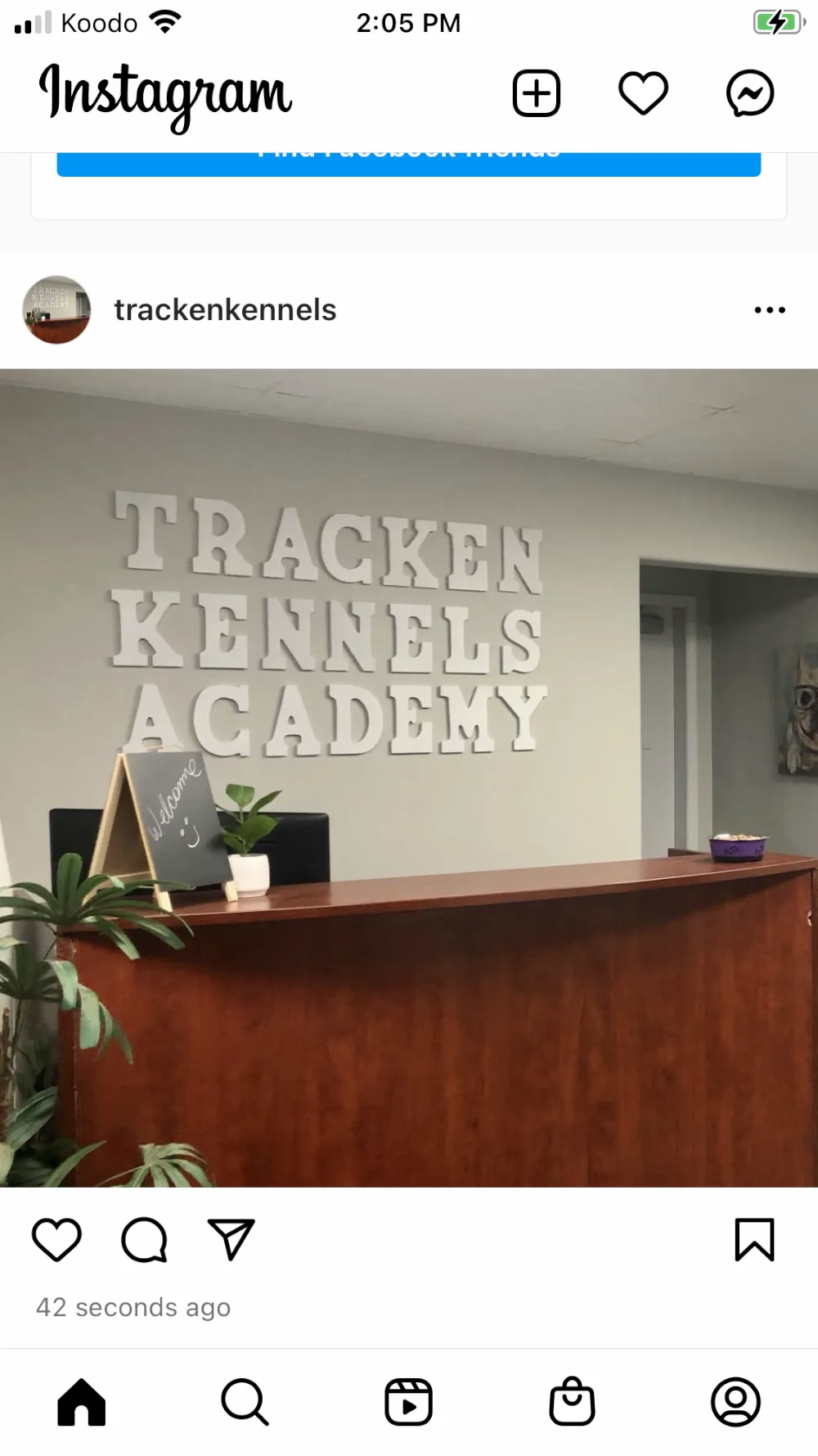 Tracken Kennels Academy - Leduc pet otel görseli 2