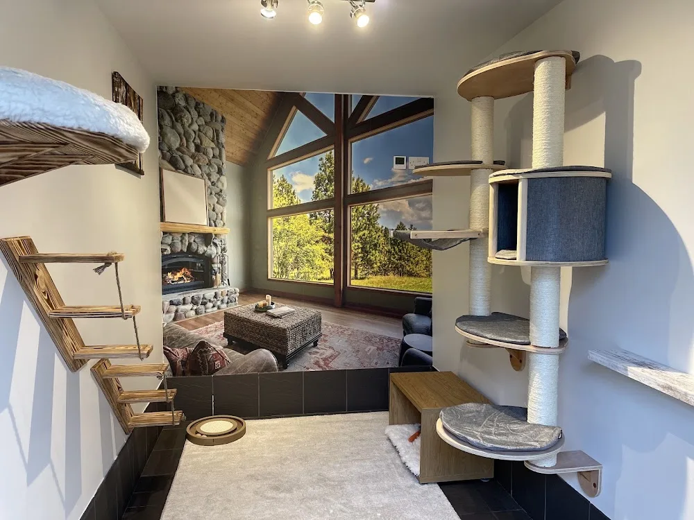Acaster Boarding - Luxury Cattery - Leeds pet otel