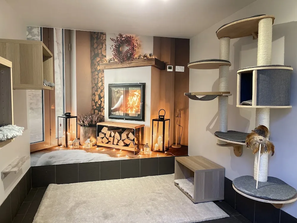 Acaster Boarding - Luxury Cattery - Leeds pet otel görseli 3