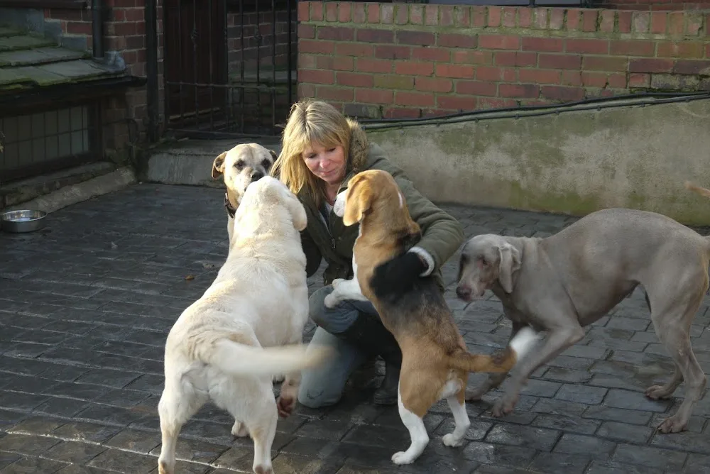 Ayranbrau Kennels & Cattery - Leeds pet otel