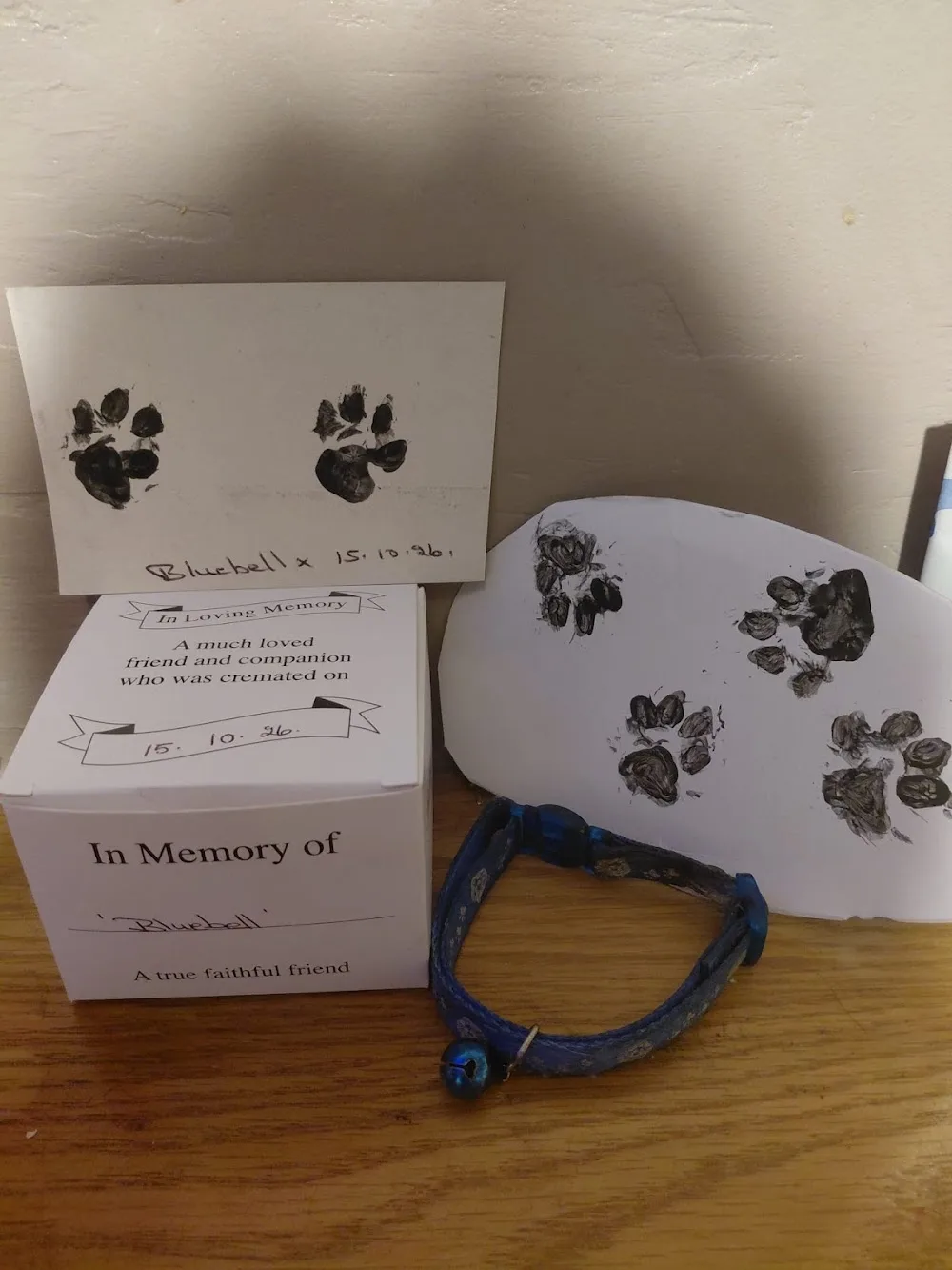Beulah Farm Kennels & Cattery - Leeds pet otel görseli 4