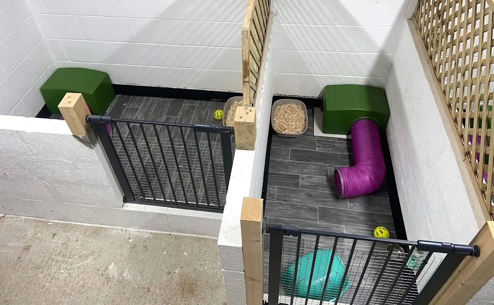 Butlers Bunny Boarding - Leeds pet otel