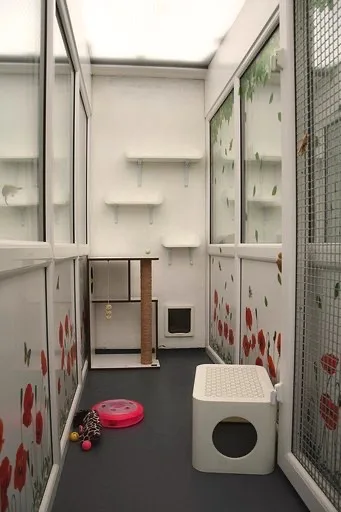 Greengates Boarding Cattery - Leeds pet otel görseli 3