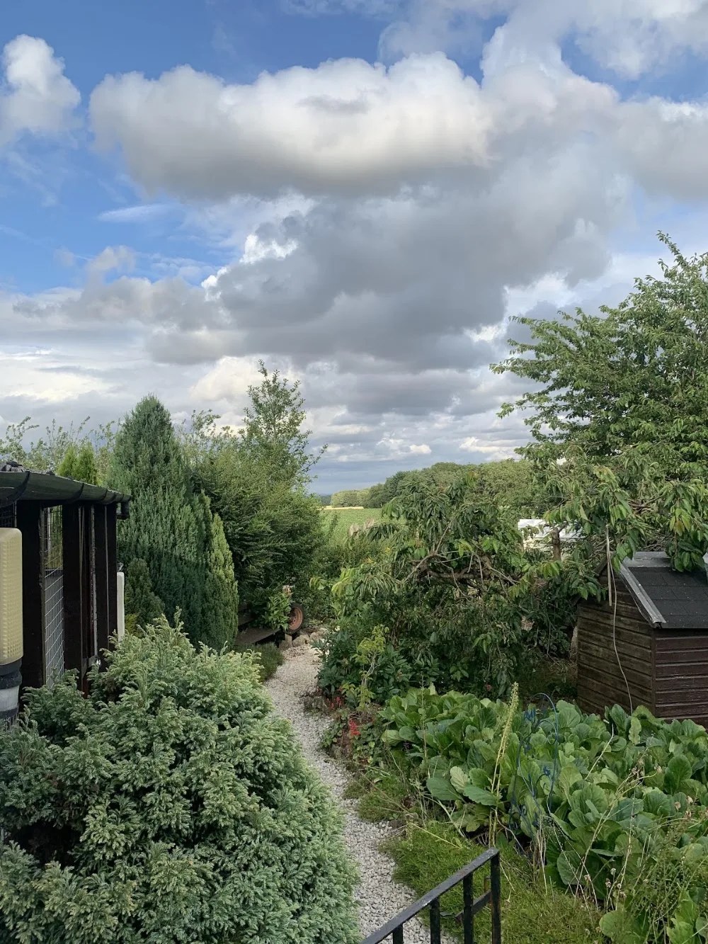 Hartleywood Cattery - Leeds pet otel görseli 3