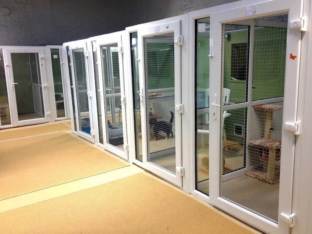 Kelcliffe Cattery - Leeds pet otel görseli 2