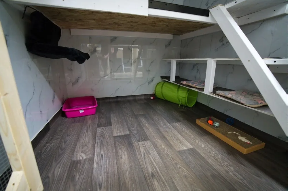 Station House Cattery - Leeds pet otel görseli 3