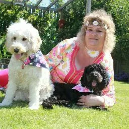 The Fur babies retreat - Leeds pet otel görseli 5