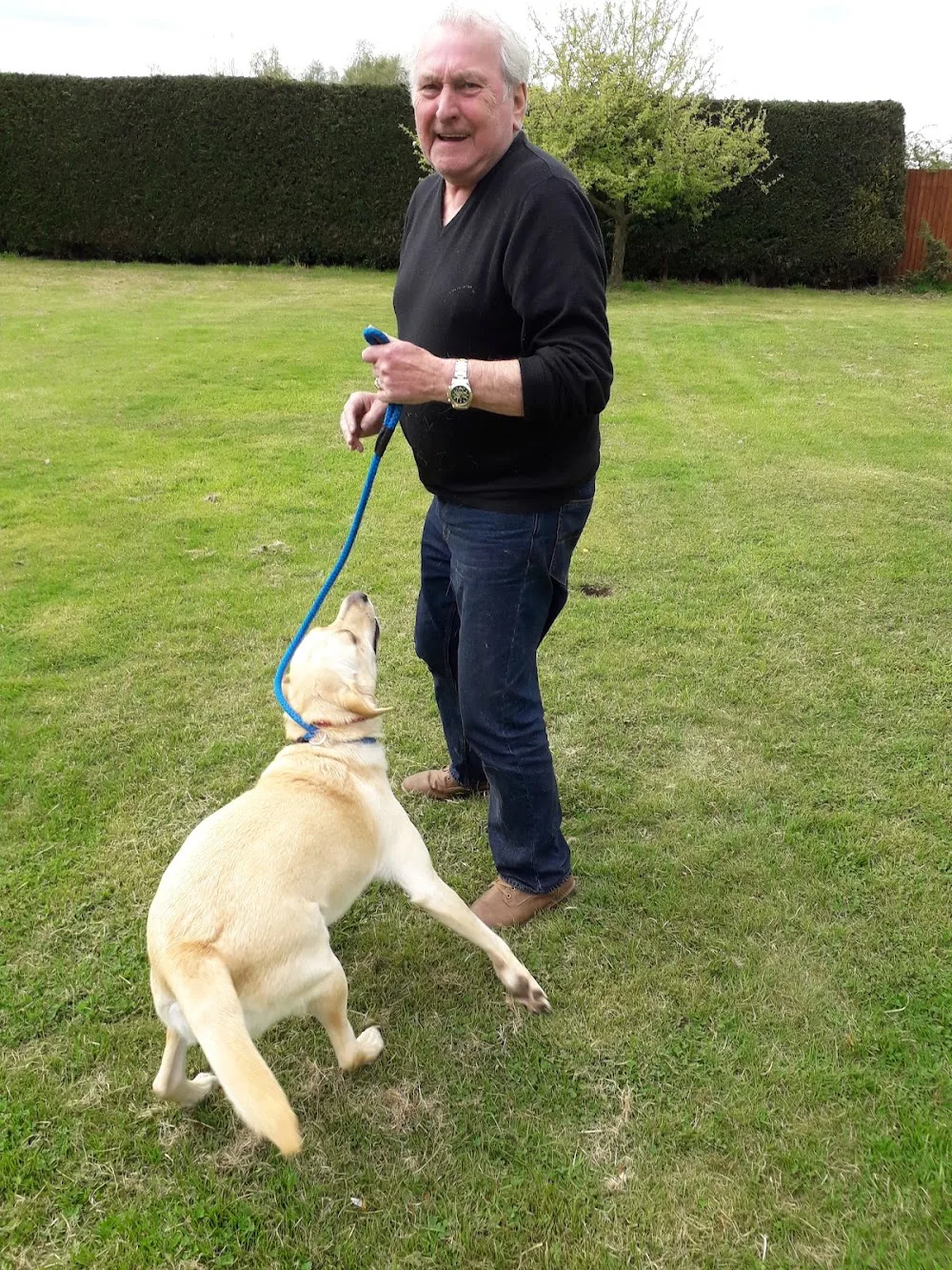 Grange Boarding Kennels - Leicestershire pet otel