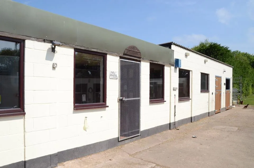 Greenland's Cattery - Leicestershire pet otel