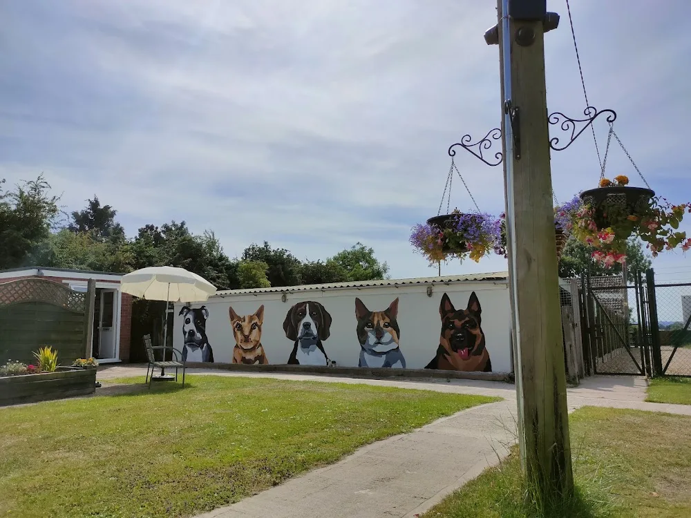 Holmleigh Boarding Kennels and Cattery - Leicestershire pet otel görseli 3