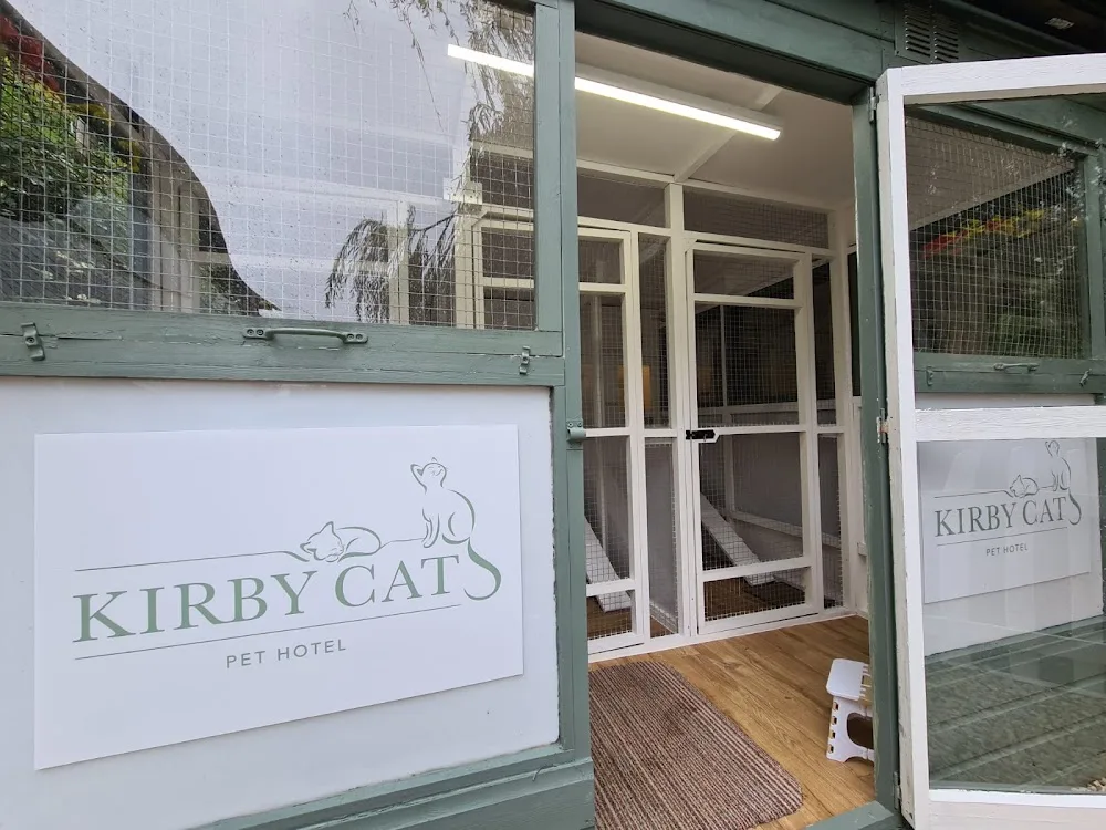 Kirby Cats - Leicestershire pet otel
