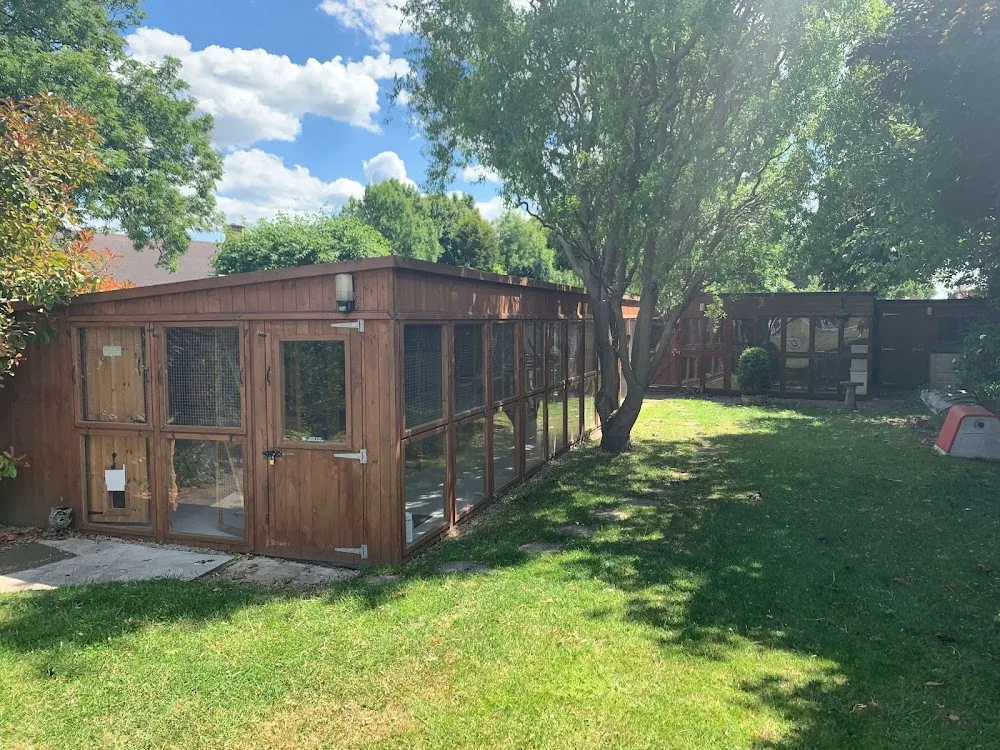 Little Glen Cattery - Leicestershire pet otel
