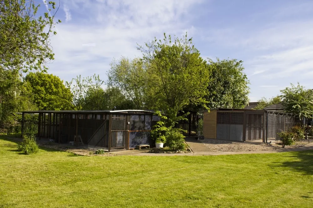 Queniborough Cattery - Leicestershire pet otel