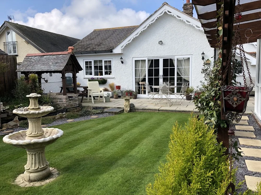 The Haven Luxury Cat Hotel - Leicestershire pet otel görseli 3