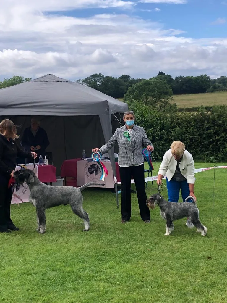 Tomlinson's Boarding Kennel & Canine Centre - Leicestershire pet otel görseli 3
