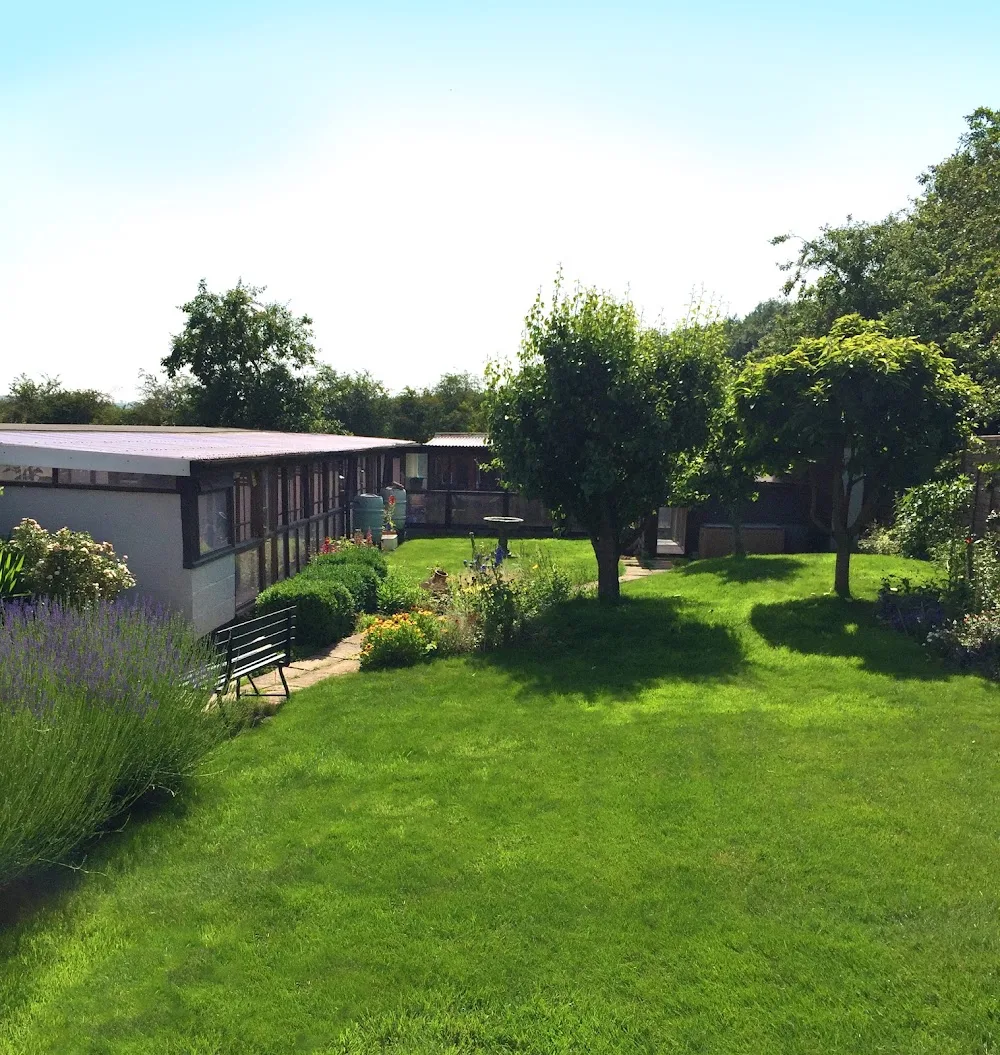 Woos Willow Cattery - Leicestershire pet otel görseli 2