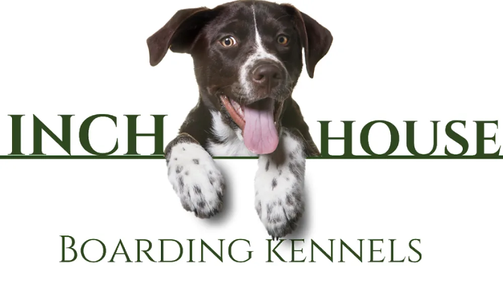 Inch House Boarding Kennels - Leinster pet otel görseli 6